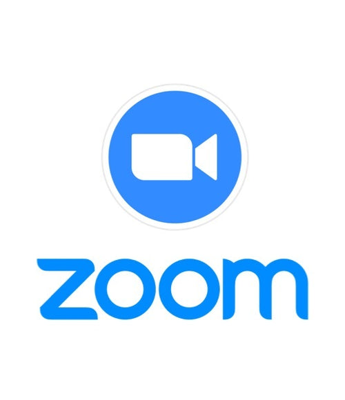 COVID-19: Jumping onto Zoom: A Text Dialogue Between Cyber Security and Privacy Experts